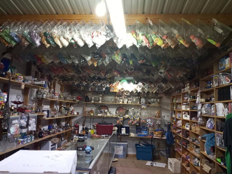 NC Thrift Shop PACKED With Beanie Babies
